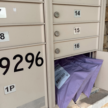 Cargar imagen en el visor de la galería, 25cm x 33cm Bolsa "Lisa Morada" (100 Piezas)