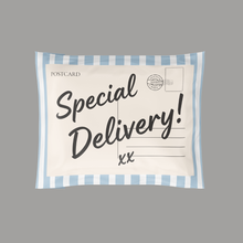 Cargar imagen en el visor de la galería, Bolsa de envío 25x33 cm | Special Delivery  – Pack 100 piezas
