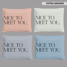 Cargar imagen en el visor de la galería, 61cm x 48cm Bolsa Mix Pack "Nice To Meet You" (100 Piezas)
